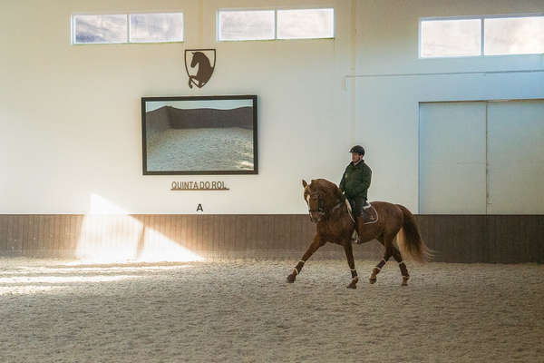 Indoor arena at Quinta do Rol, dressage holiday in Portugal