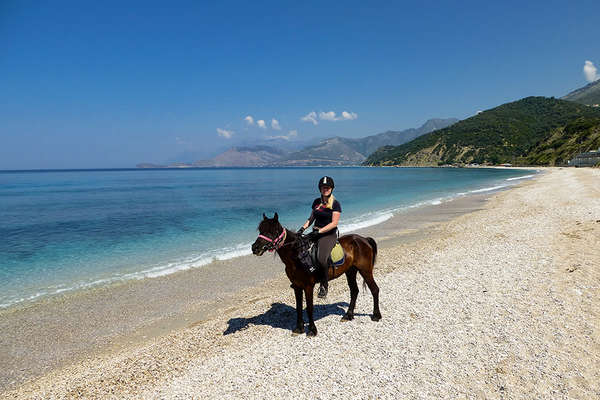Ionian Sea beach and horse in Albania