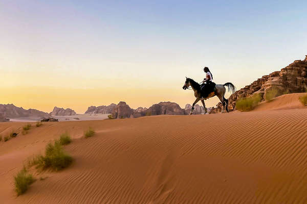 horse riding tours jordan