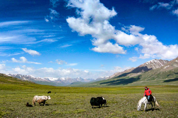 Kyrgyzstan trail riding with Equus Journeys