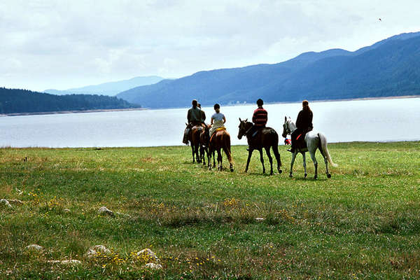 Lake and horses in Bulgaria