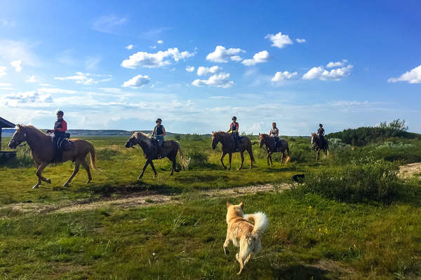 Line of riders on a trail ride
