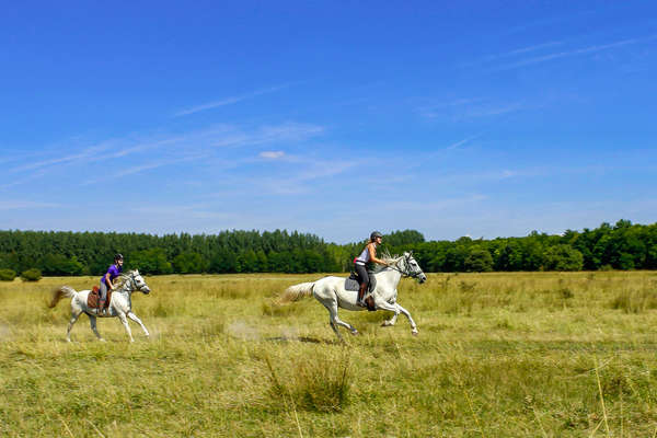 Long canters on a trail riding holiday in Hungary