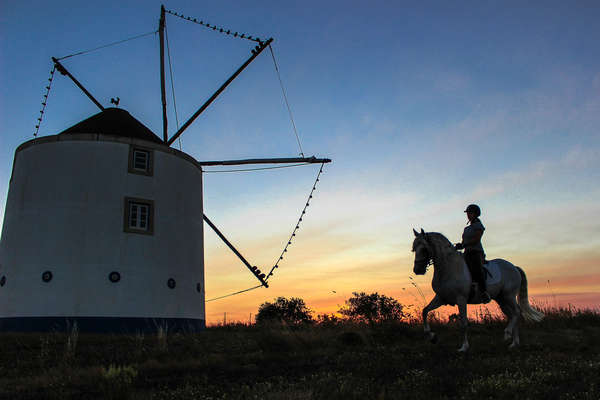 Lusitano horse ridden at sunset in front of a traditional mill, Portugal