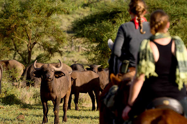 Mobile horse riding safari in Tanzania 