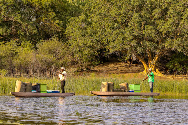 Mokoro canoes in the Okavango delta