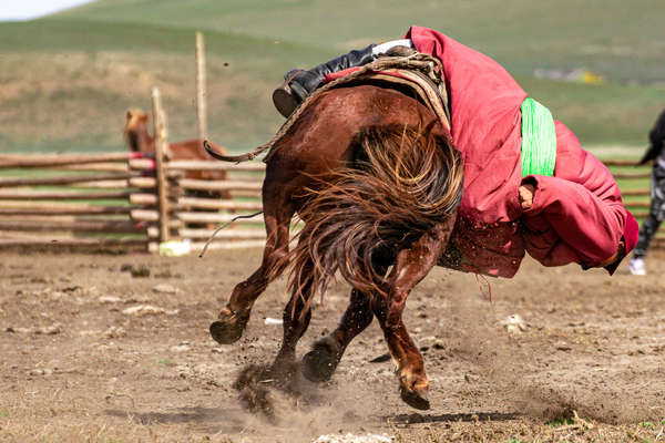 Mongol nomad training on horseback