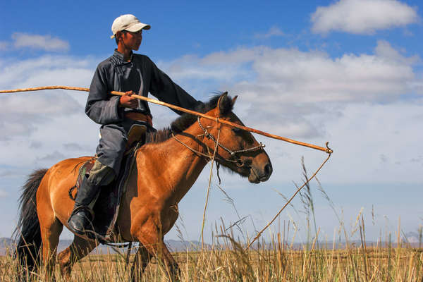 Mongolian uurga and shepherd