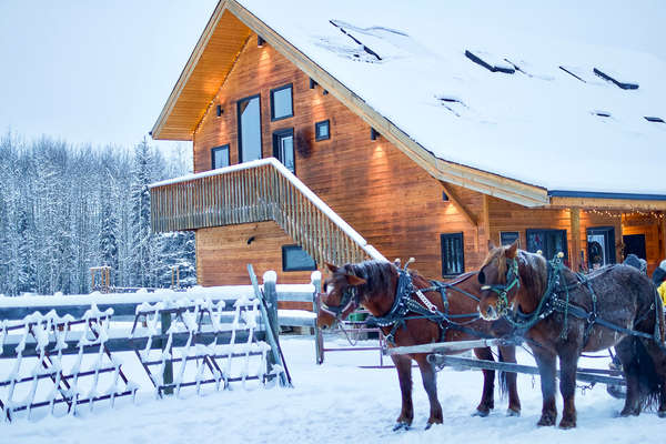 Moose Mountain ranch and sleigh horses