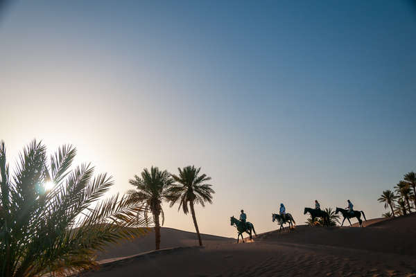 Moroccan cavalcade, Sahara.