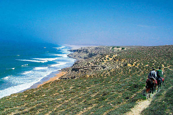 Morocco wild coast and horses