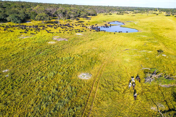 Multiple riders along a plain in Zimbabwe