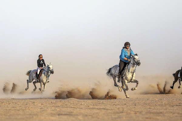 Multiple riders cantering along the desert in Egypt