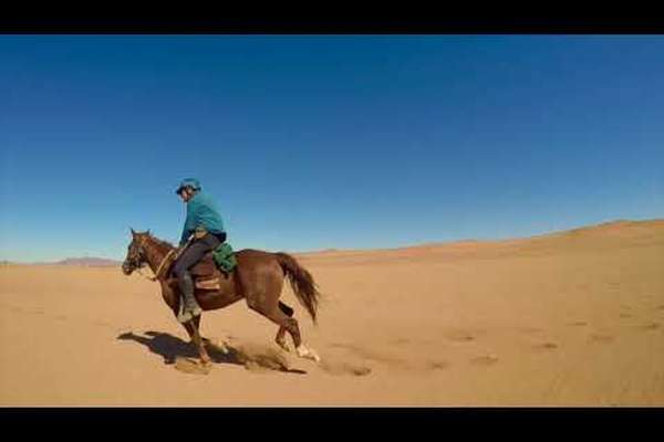 Namib Desert Trail