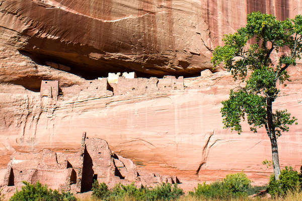 Navajo trail, USA.