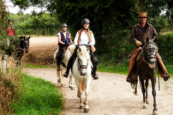 Normandy on horseback