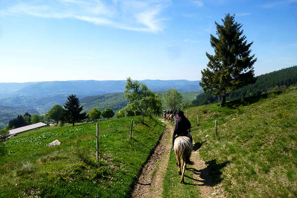 North east french mountains horseback trail