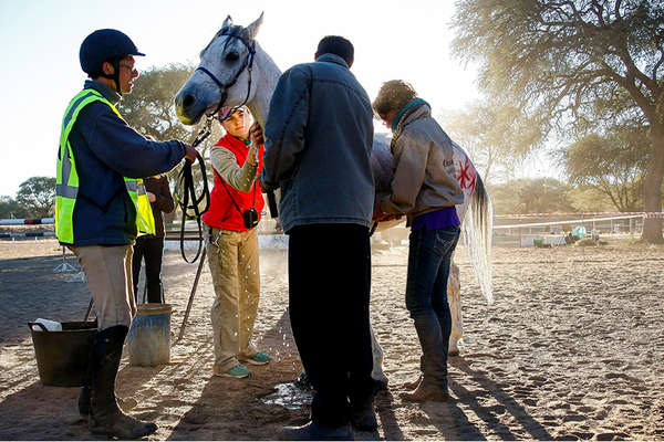 Okapuka endurance horseback riding safari in Namibia