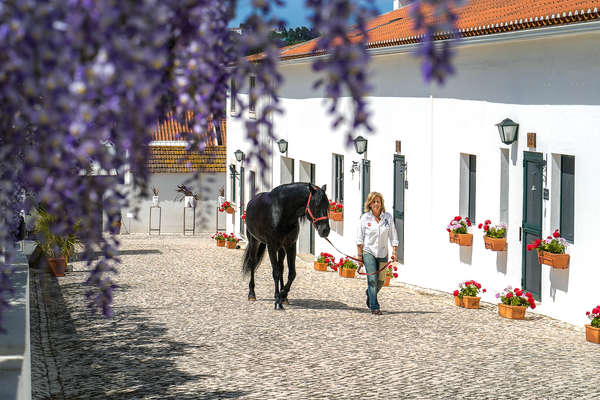 Owner Rita leading a horse at Quinta do Rol