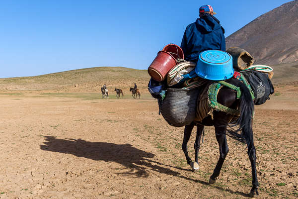 Pack horse carrying riders luggage on a trail riding adventure