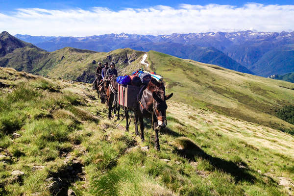 Pack riding expedition in the Pyrenees