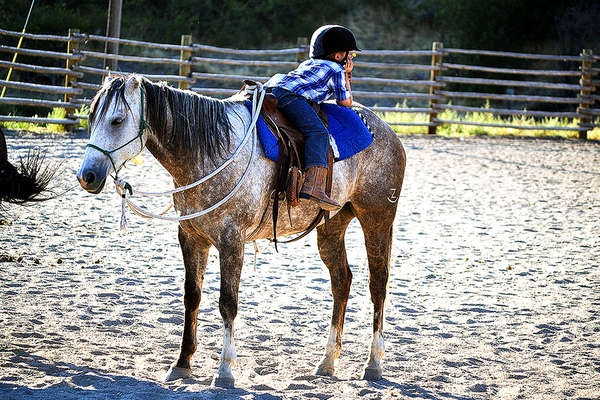 Parelli natural horsemanship guest ranch in Montana  