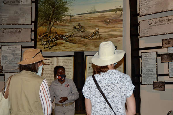 People enjoying an exhibition in Zimbabwe