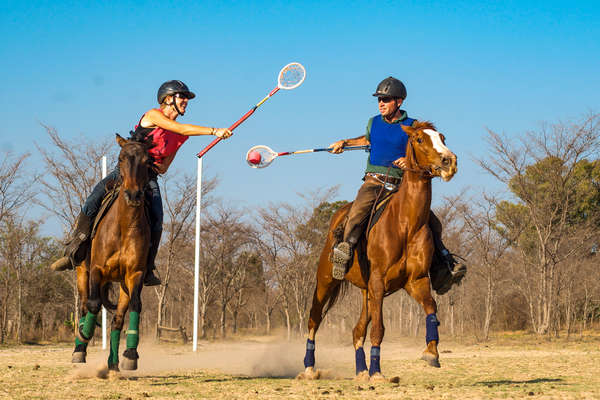 Polocross players at Horizon