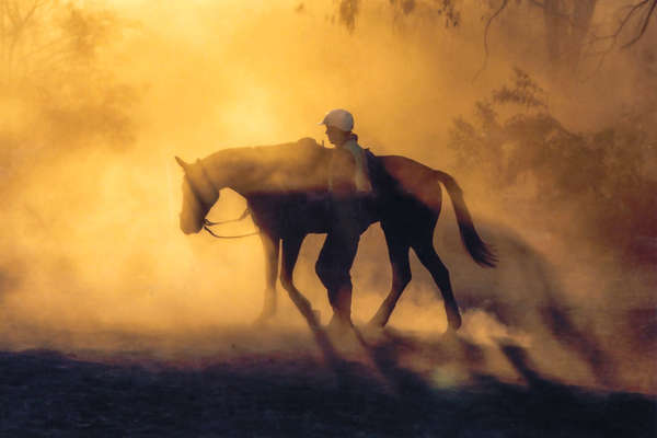 Polocross players at Horizon