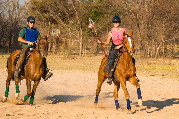 Polocross players at Horizon