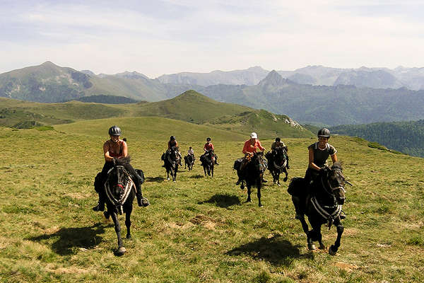 Pyrénées mountains and horses