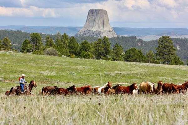 Ranch holiday in Wyoming