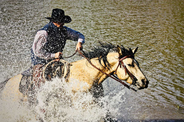 Ranch holiday in Wyoming