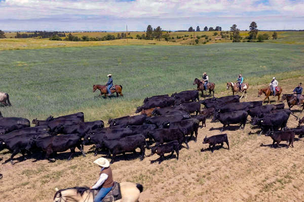 Ranch holiday in Wyoming