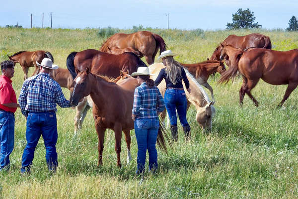 Ranch holiday in Wyoming