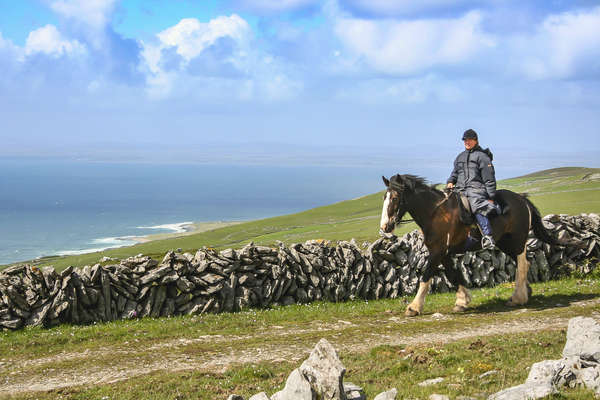 Rider and an irish cob in Ireland