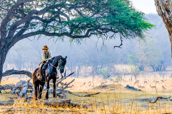 Rider and antelope in the background with early morning mists