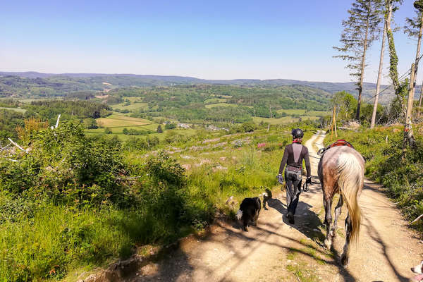 Rider and horse on a trail riding holiday