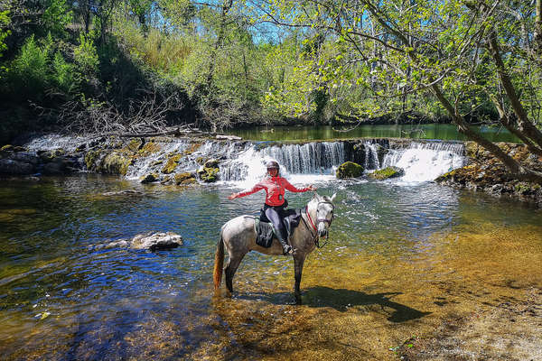 Rider and horse standing in a river in Catalonia