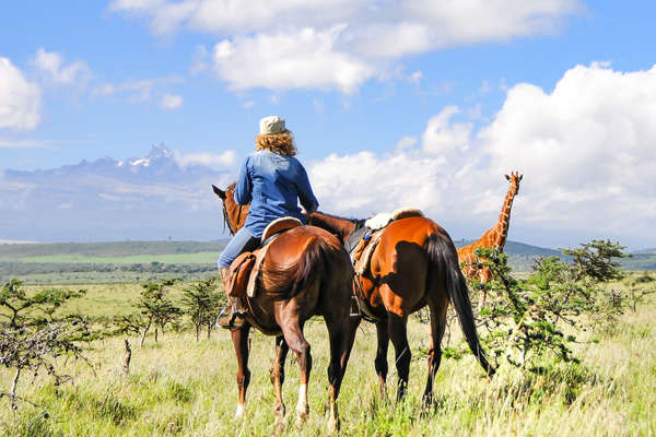 Rider at Borana Lodge and Conservancy watching giraffe on horseback