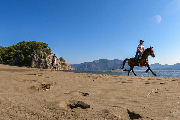 Rider cantering along a beach in Turkey