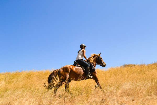 Rider cantering her horse in Crete