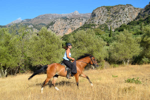 Rider cantering in a field in Crete