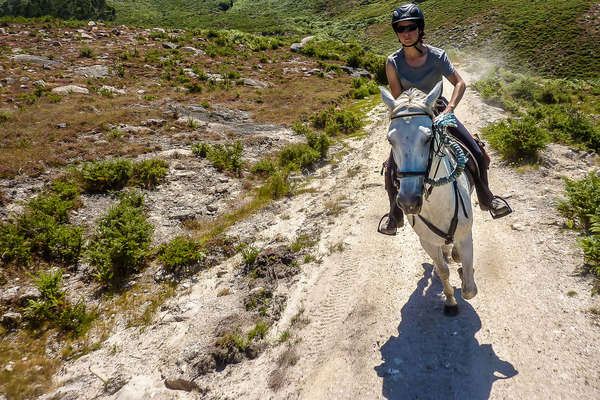 Rider cantering in the Peneda-Geres National Park in Portugal
