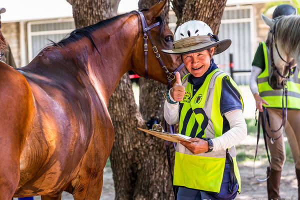 Rider checking on her horse after an endurance ride in Namibia