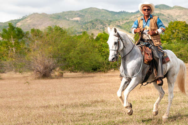 Rider galloping in a field in Cuba