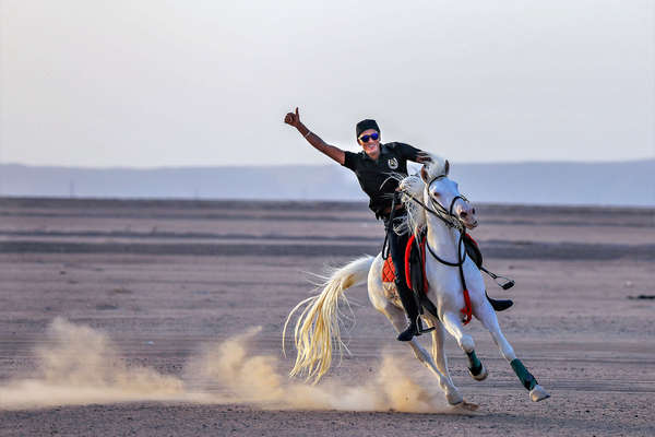 Rider galloping in the Egypt desert