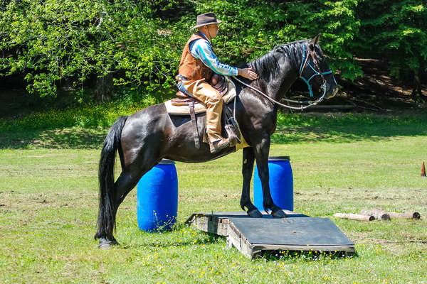 Rider giving a western riding clinic