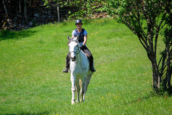 Rider going cross country in Galway