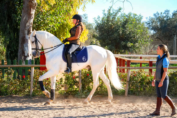 Rider having a dressage on an Andalusian schoolmaster at Epona in Spain